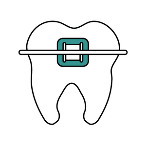 Ortho Factory